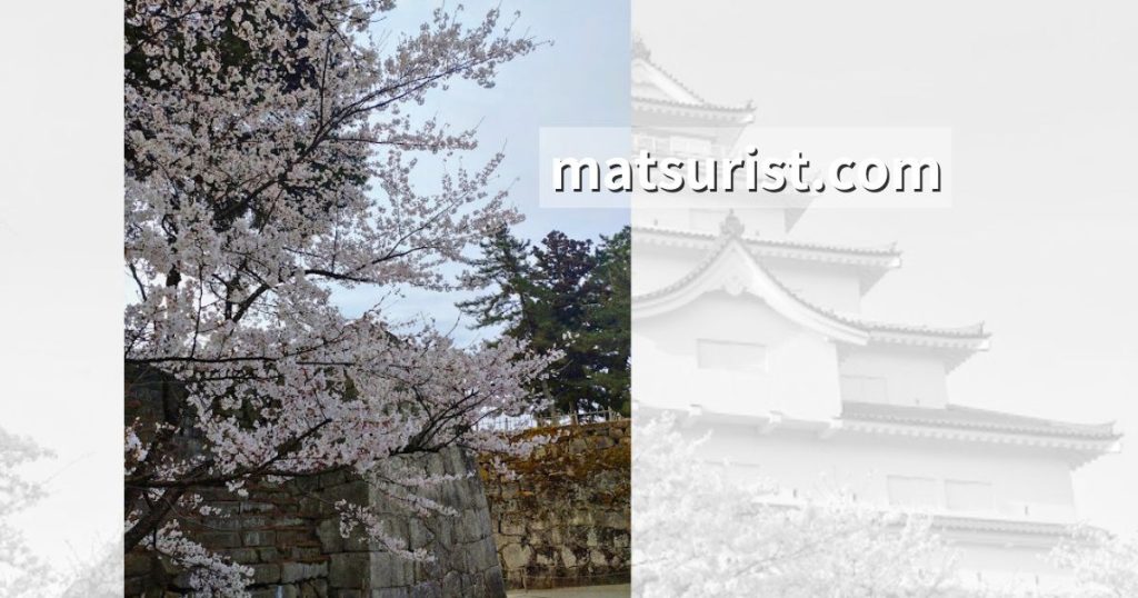 鶴ヶ城の桜 見頃 日程 屋台 ライトアップ アクセス 駐車場