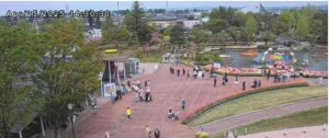 となみチューリップフェア2025年の開花状況　4月下旬